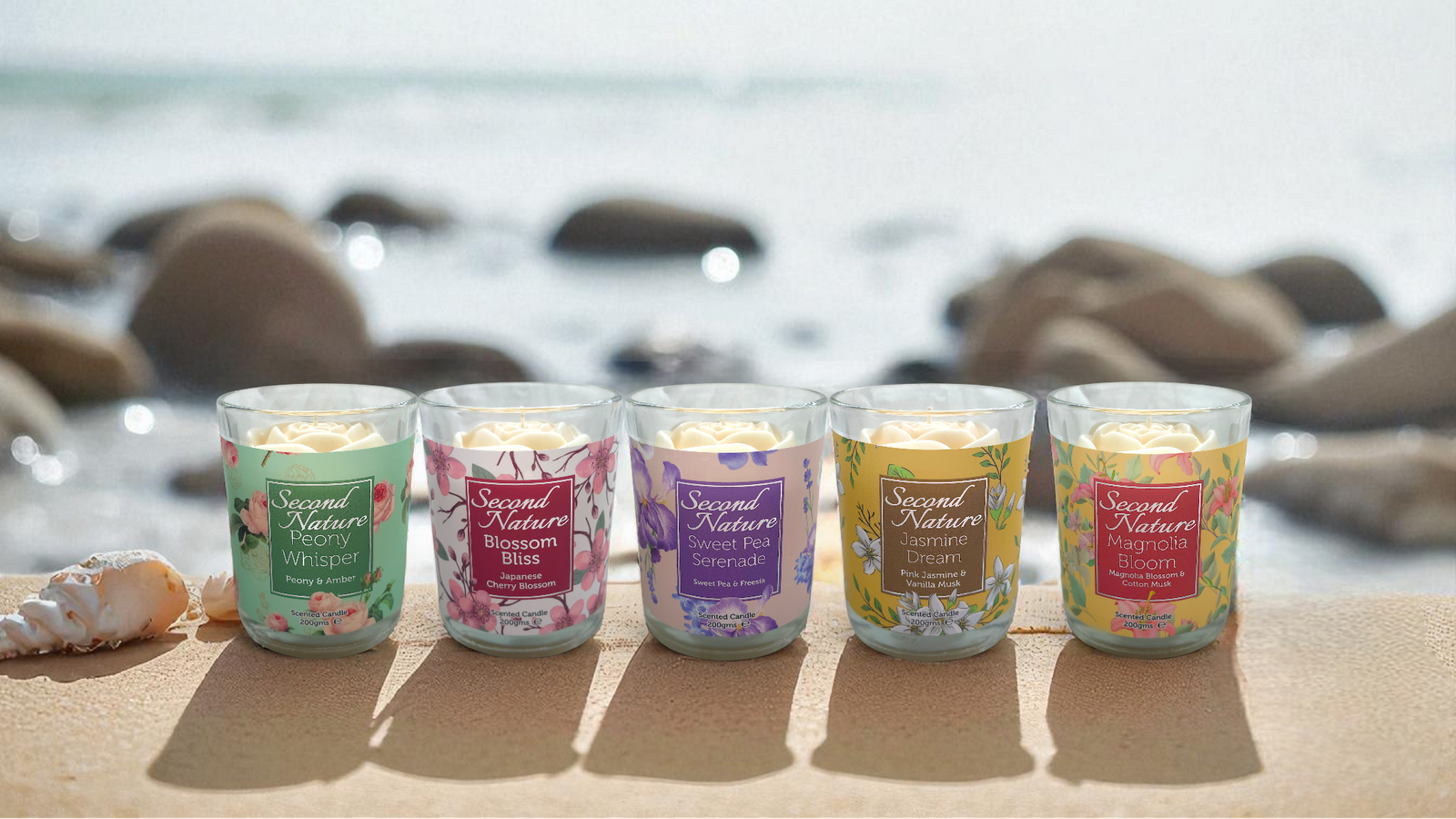 Full Range 04 - BG - Candle - 2025-10-14 (copy)